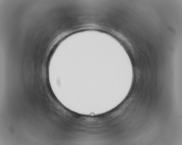 X0000110921318200907301554
