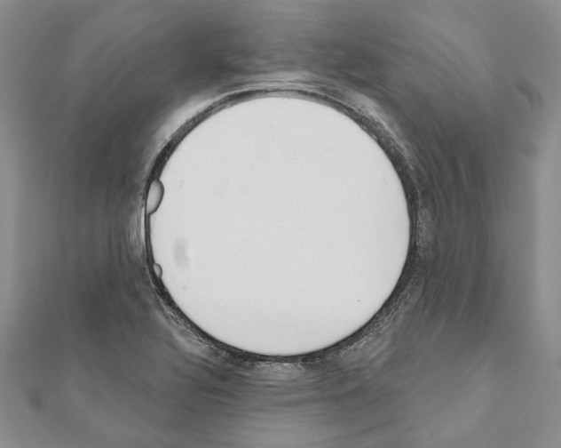 X0000110921320200907301554