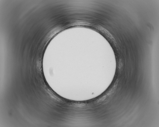 X0000110921321200907301554