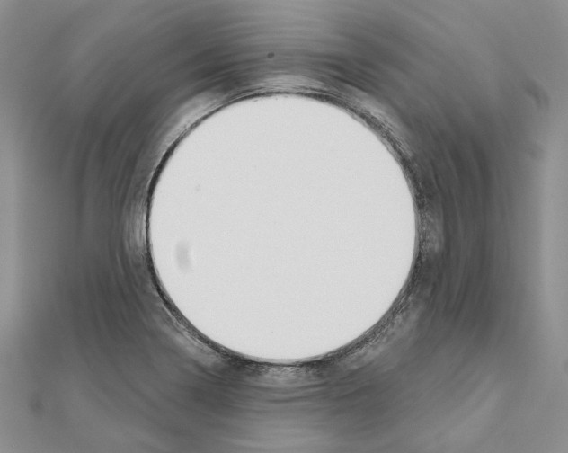 X0000110921322200907301554