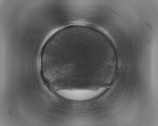X0000110921323200907301554