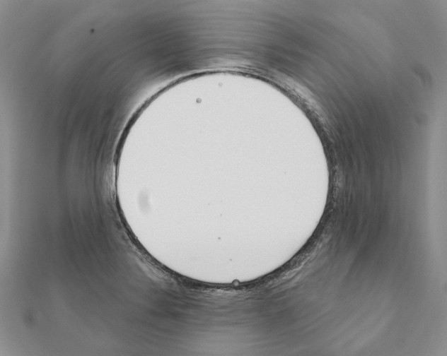 X0000110921324200907301554