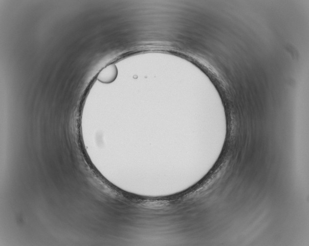 X0000110921325200907301554