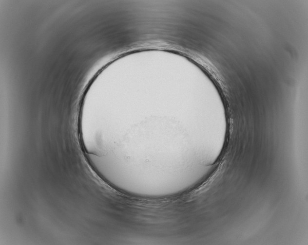 X0000110921326200907301554