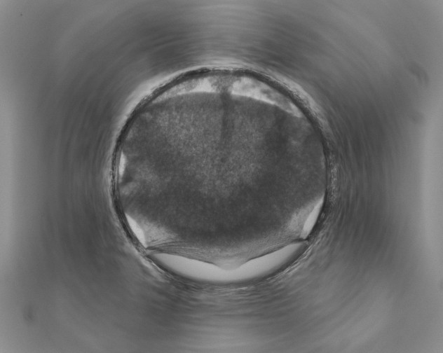 X0000110921327200907301554