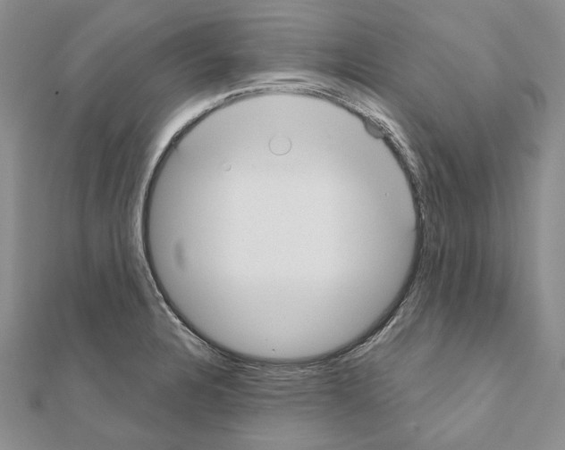 X0000110921328200907301554