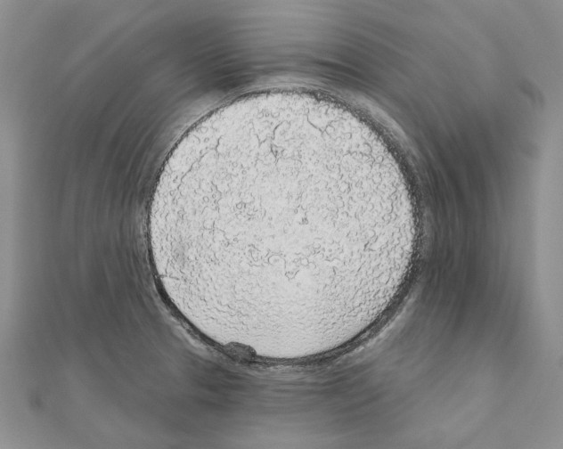 X0000110921329200907301554
