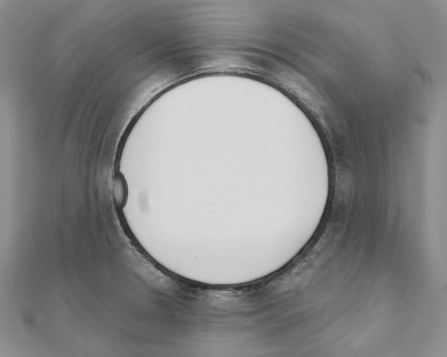 X0000110921330200907301554