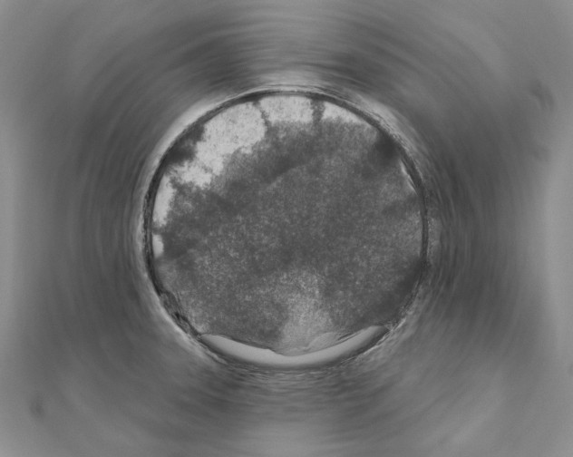 X0000110921331200907301554