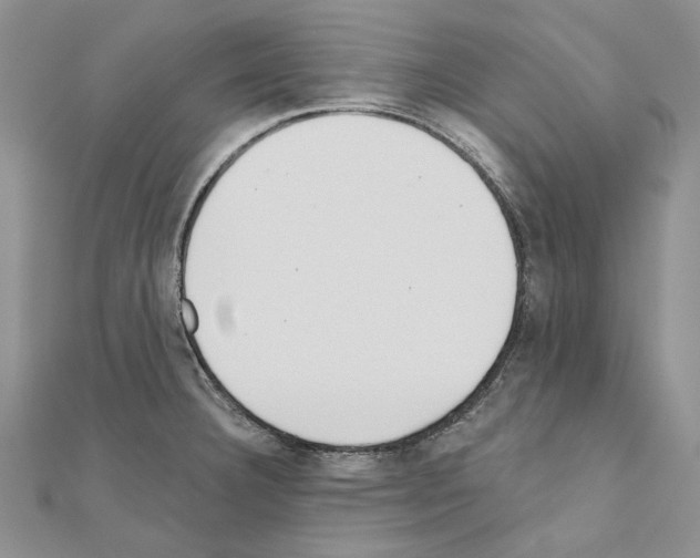 X0000110921332200907301554
