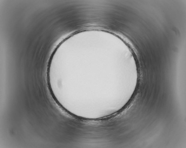 X0000110921333200907301554