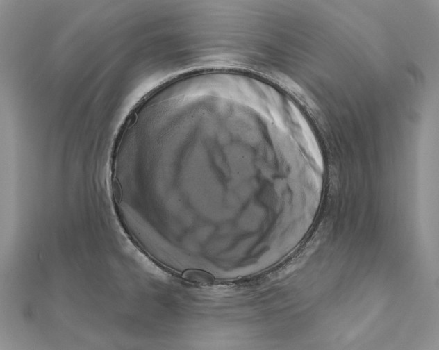 X0000110921334200907301554