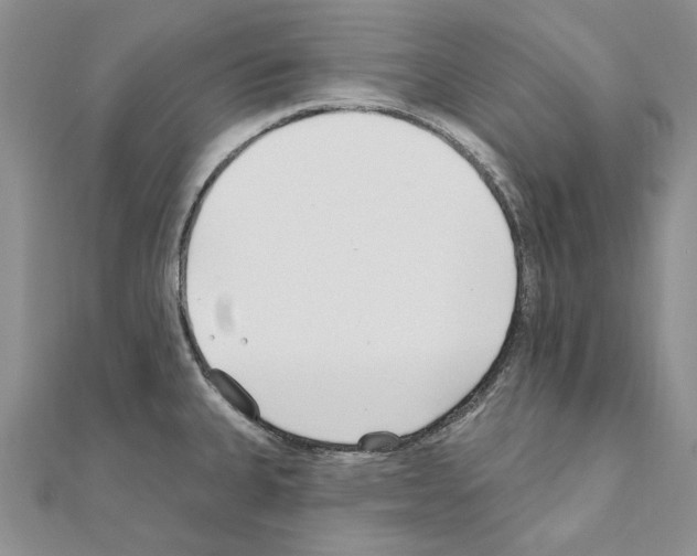 X0000110921335200907301554
