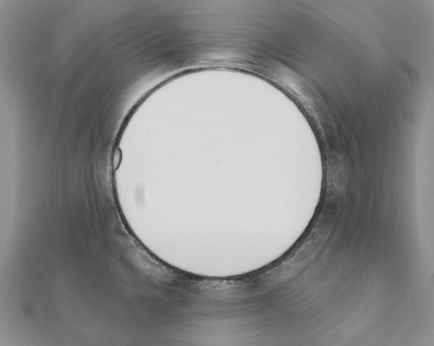 X0000110921336200907301554