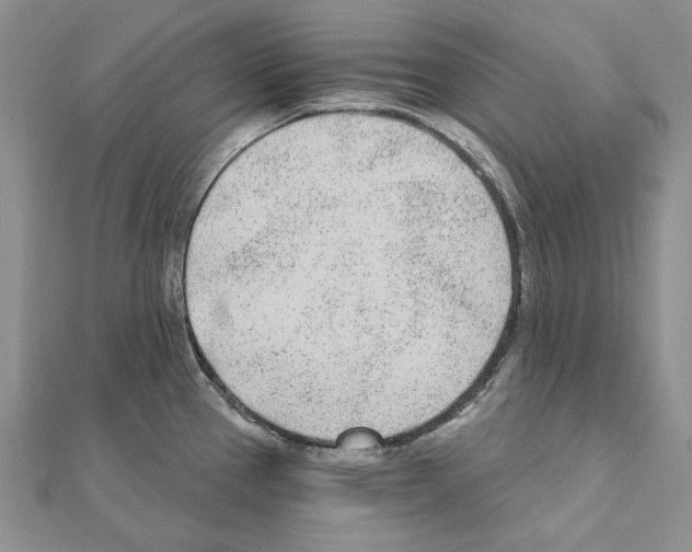 X0000110921337200907301554