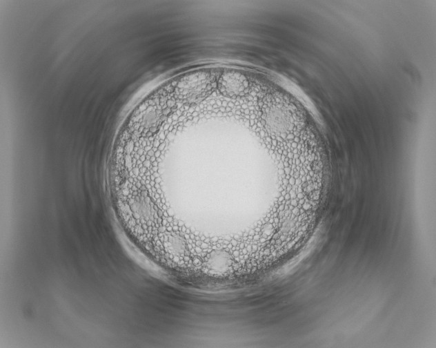 X0000110921338200907301554