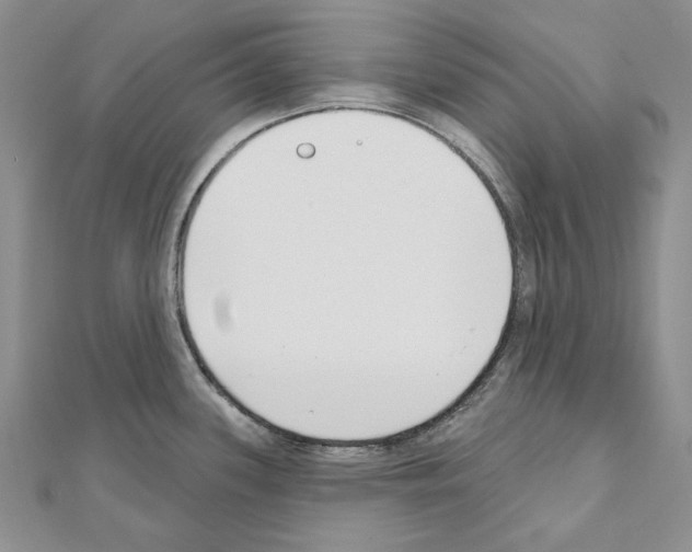 X0000110921339200907301554