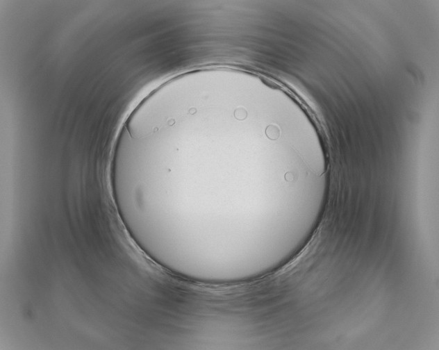 X0000110921340200907301554