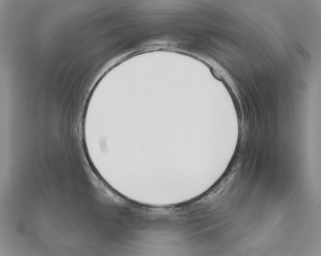 X0000110921341200907301554
