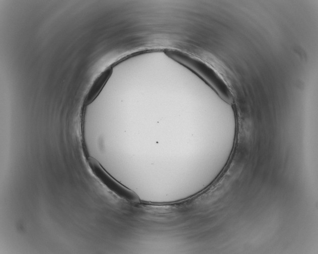 X0000110921342200907301554