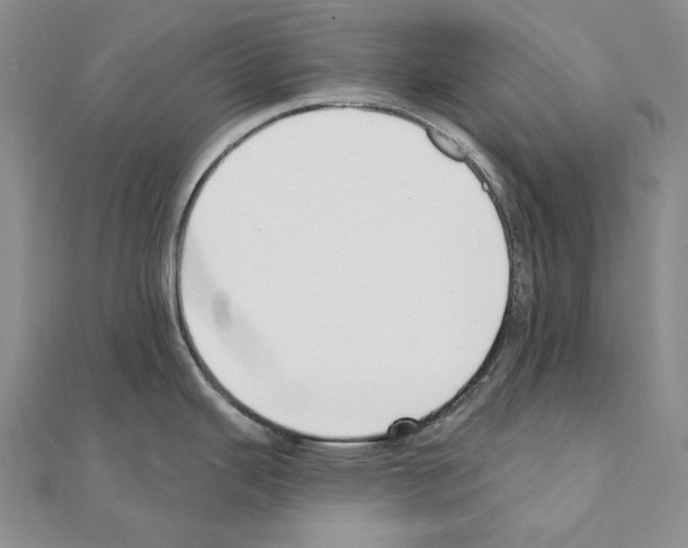 X0000110921343200907301554