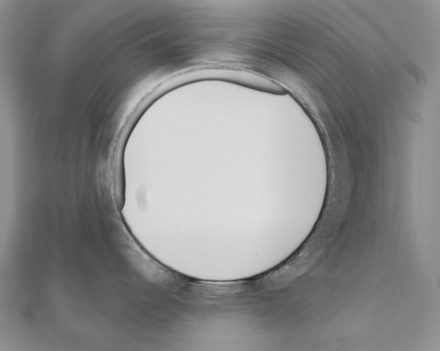 X0000110921344200907301554