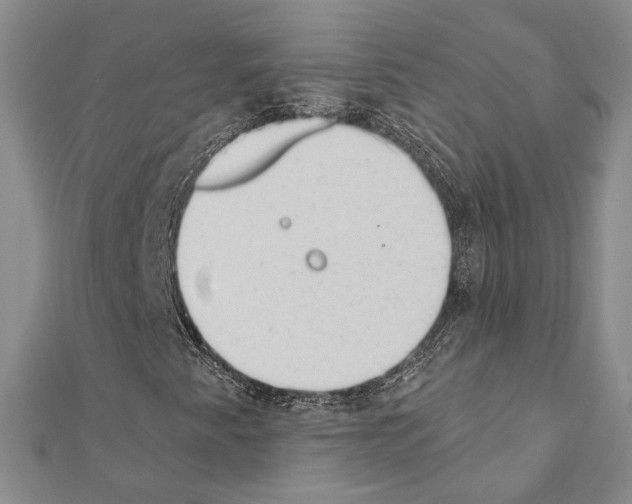 X0000110921345200907301554