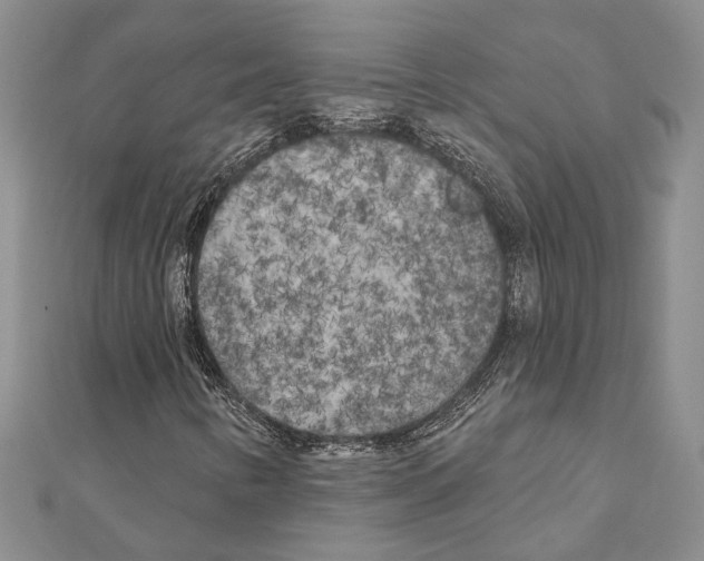 X0000110921346200907301554
