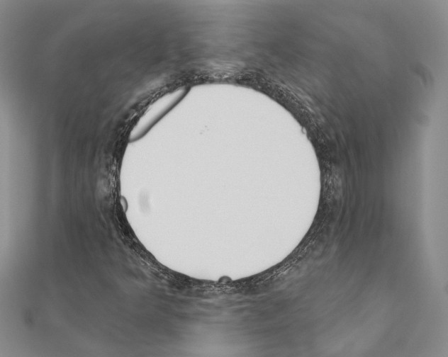 X0000110921349200907301554