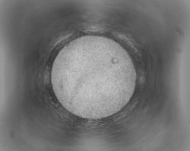 X0000110921350200907301554