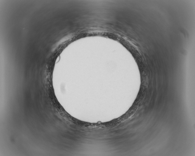 X0000110921351200907301554
