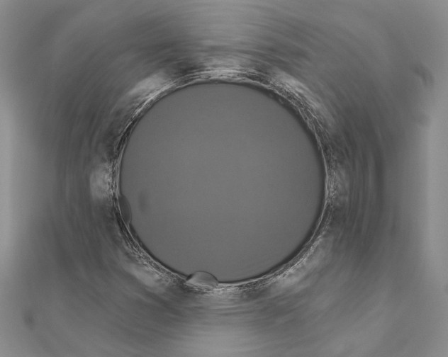 X0000110921353200907301554