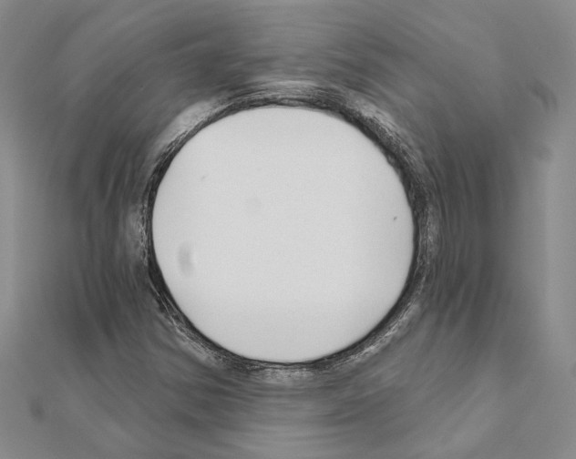 X0000110921354200907301554