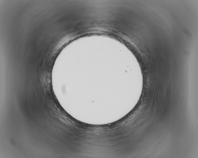 X0000110921355200907301554