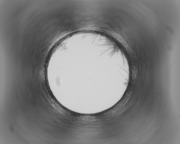 X0000110921356200907301554