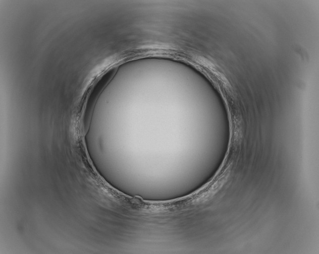 X0000110921357200907301554