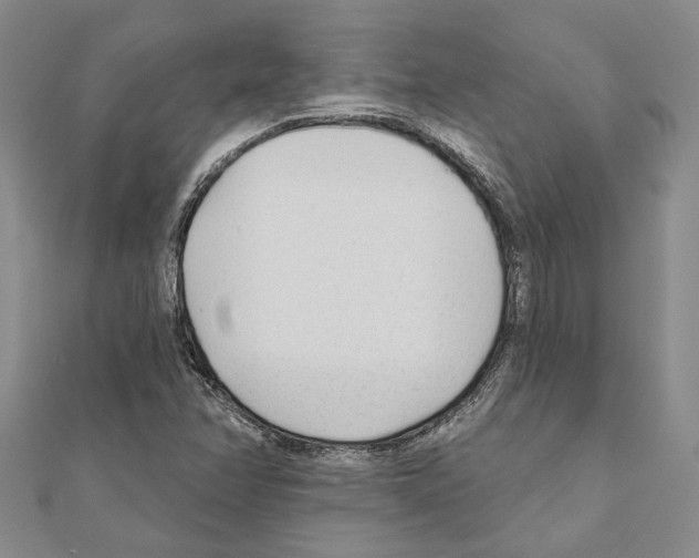 X0000110921358200907301554