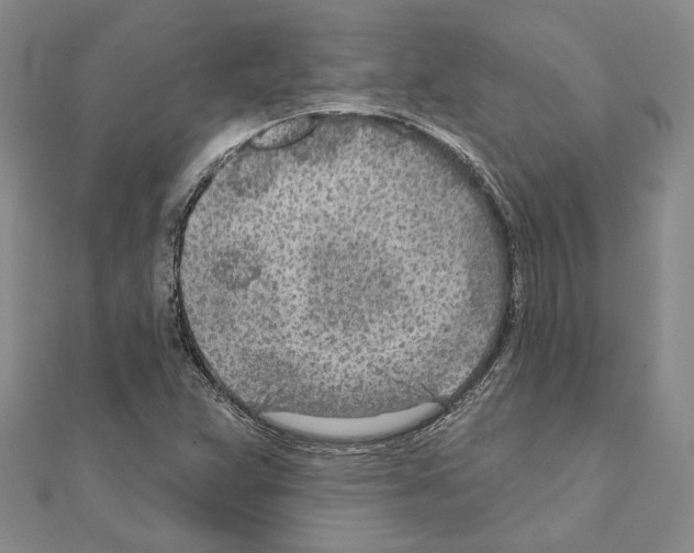 X0000110921359200907301554