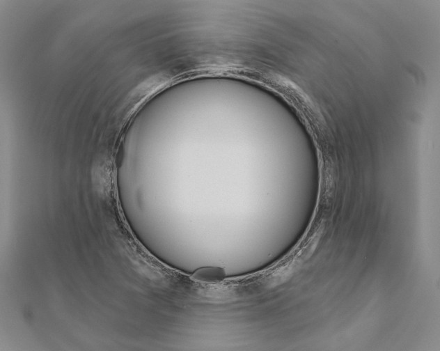 X0000110921361200907301554