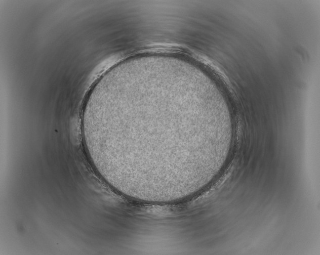 X0000110921362200907301554