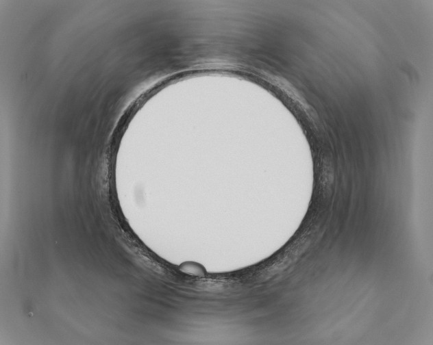 X0000110921364200907301554