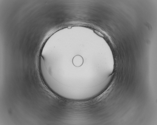 X0000110921365200907301554