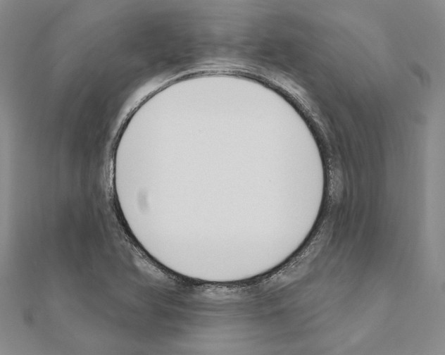 X0000110921366200907301554