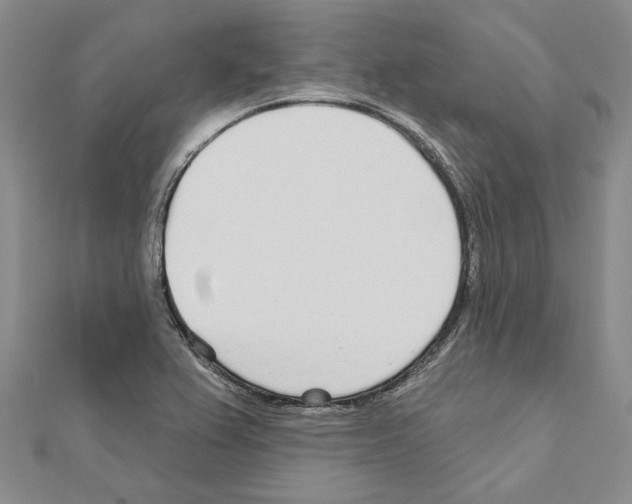 X0000110921367200907301553