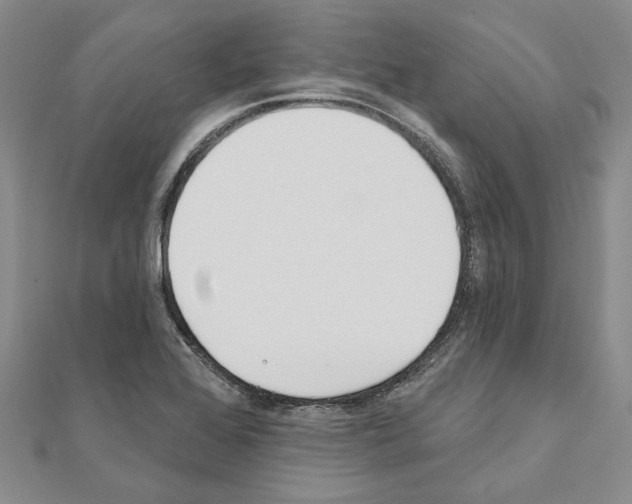 X0000110921368200907301553