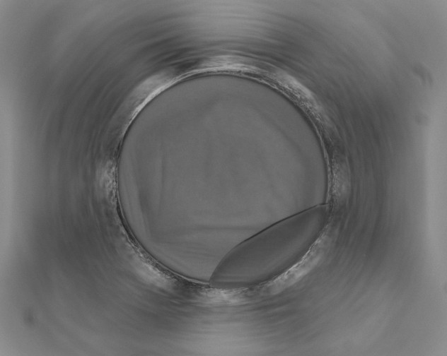 X0000110921369200907301553