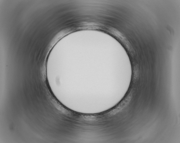 X0000110921370200907301553