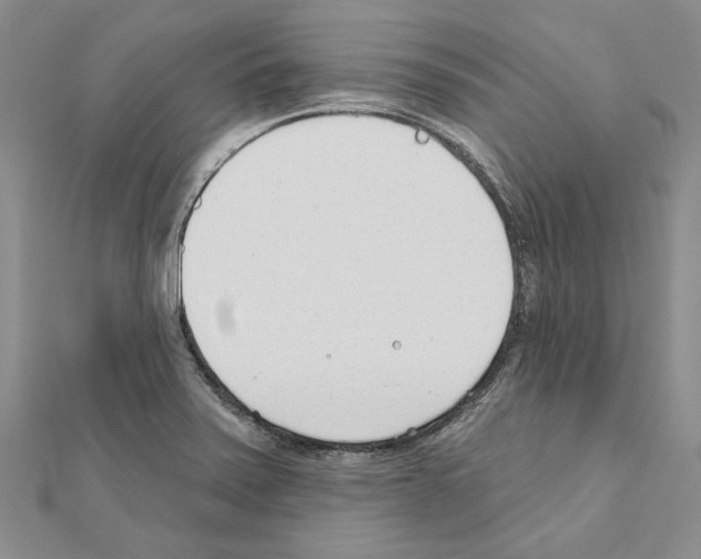 X0000110921371200907301553