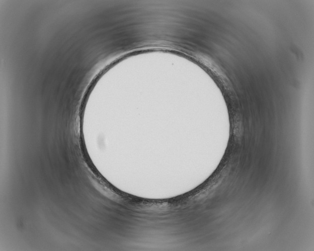 X0000110921372200907301553