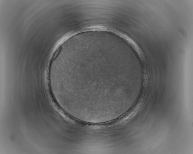 X0000110921373200907301553